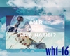why habibi