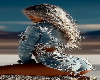 Sea_out