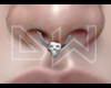 DW. Septum Piercing