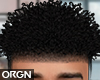 OG_Micro curls