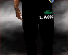 lcst jogger v2