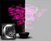 C - Plant v2 pink