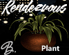 *B* Rendezvous Plant