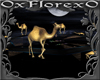 dj light equa camel