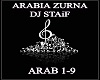 ARABIA ZURNA DJ STAiF
