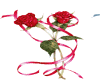 very pretty red rose