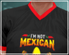 Cinco De Mayo Tee