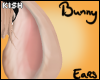 Akuo Bunny Ears
