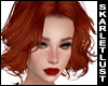 SL Charlize3 GingerBred