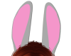 Kids Bunny Ears