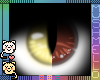 Wa∯les CB Cat Eyes