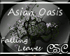 {CSC}Asian Oasis Sakura