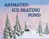 (KK)ADD* ICE SKATE POND