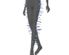 WILLOWSPIKES