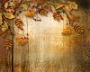 The Autumn Shed BG