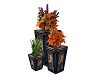 Cozy 3-potted plants