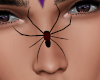*N* BLACK WIDOW SPIDER