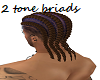 2 tone braids