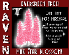 PINK STAR BLOSSOM TREE!