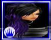 SM~ Purple and black