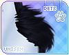 [Pets]Amanda | hip tufts