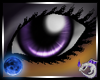 Spook Eyes Purple
