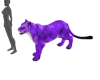 ☢ Lioness Purple