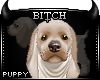 !B Buff Puppy Animated