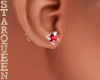 Silver Red Earrings