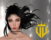 VV | Sansa 6