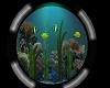 Bubble Fish Tank