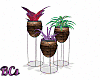 Potted Plant Trio 3