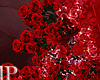 Romantic Roses PhotoRoom