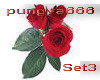 rose red purelove set3