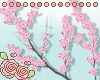 ♡ Pinku sakura decor