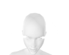 WHT HORNS