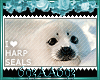I love Harp Seals