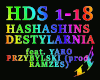 HASHASHINS - DESTYLARNIA