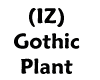 (IZ) Gothic Plant