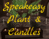 Speakeasy Plant & Candle