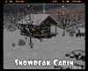 #Snowpeak Cabin