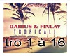 Darius- Tropicali