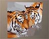 Tigers on Canvas