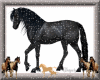 Animated Horse 32