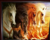 ~V~Horses