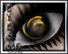 [S3K]Rave eyes Gold