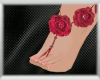 Rose Feet
