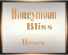 Honeymoon Bliss Roses