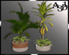 A3D*Plant Composition 2
