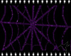 2D Spider Web Purple